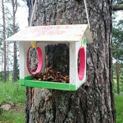 Гостевой дом Ламберг_РУСКЕАЛА, Республика Карелия