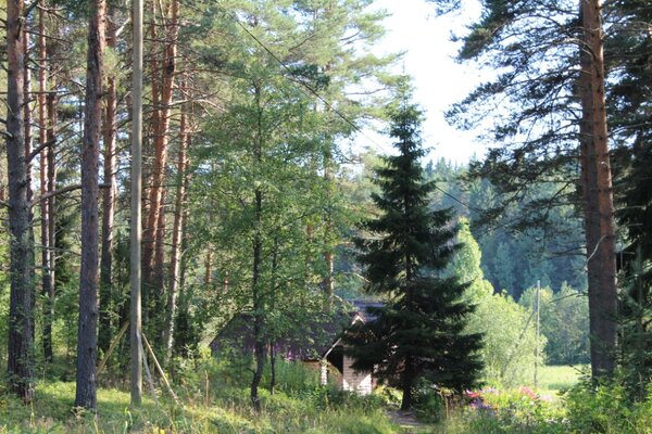 Берег Ладоги — фото 3