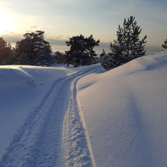 Дом в аренду на берегу реки Тулокса, Республика Карелия