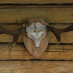 База отдыха Дом на Выходной, Ярославская область