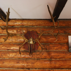 База отдыха Дом на Выходной, Ярославская область