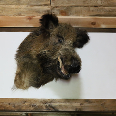 База отдыха Дом на Выходной, Ярославская область