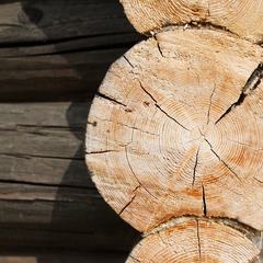 База отдыха Дом на Выходной, Ярославская область