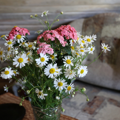 База отдыха Дом на Выходной, Ярославская область