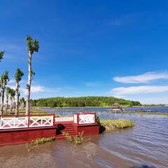 Парк-отель Каменный ручей, Алтайский край