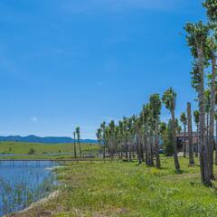 Парк-отель Каменный ручей, Алтайский край
