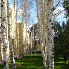 Пансионат Мурас, Иссык-куль