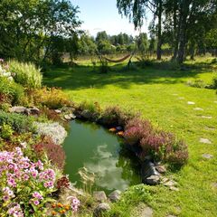 Гостевой дом Домик на Хуторе, Республика Карелия