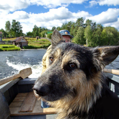 Гостевой дом Домик на Хуторе, Республика Карелия