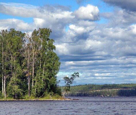 Домик на Хуторе — фото 5