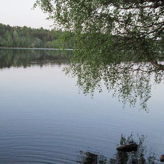 Гостевой дом Домик на Хуторе, Республика Карелия