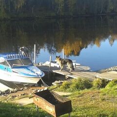 Коттедж из калиброванного бревна, Республика Карелия