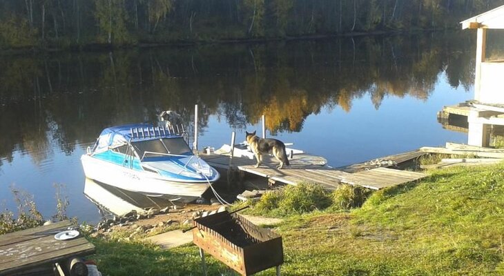 из калиброванного бревна — фото 3