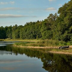 Шале Convallaria, Ленинградская область