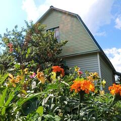 Дом в деревне Сяндеба, Республика Карелия