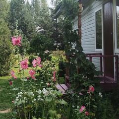 Дом в деревне Сяндеба, Республика Карелия