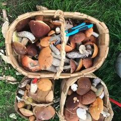 Дом в деревне Сяндеба, Республика Карелия