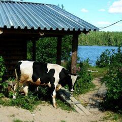Гостевой дом Сяндеба, Республика Карелия