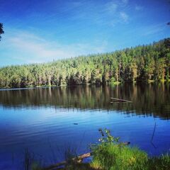 Гостевой дом Сяндеба, Республика Карелия