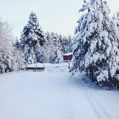 Гостевой дом Сяндеба, Республика Карелия