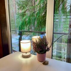 Дом Изумрудный город, Свердловская область