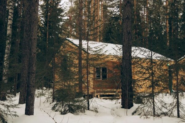 Изумрудный город — фото 5