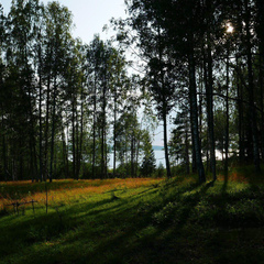 Коттедж Карельский домик, Республика Карелия