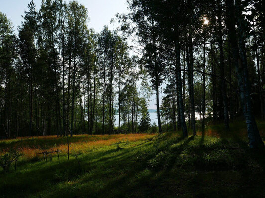 Карельский домик — фото 5