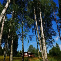 Коттедж Карельский домик, Республика Карелия