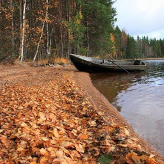 Коттедж Карельский домик, Республика Карелия