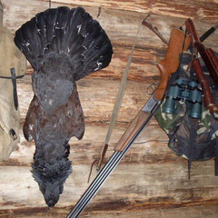 Коттедж Карельский домик, Республика Карелия