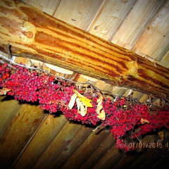 Коттедж Карельский домик, Республика Карелия