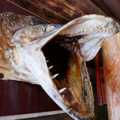 Коттедж Карельский домик, Республика Карелия