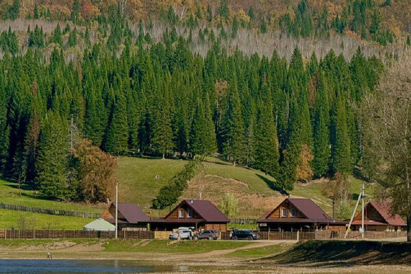 Зелено — фото 5