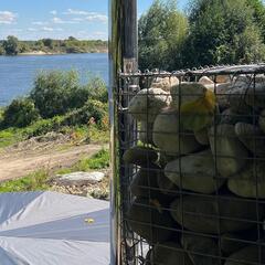 Гостевой дом Салана, Владимирская область