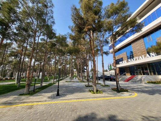 Внешний вид