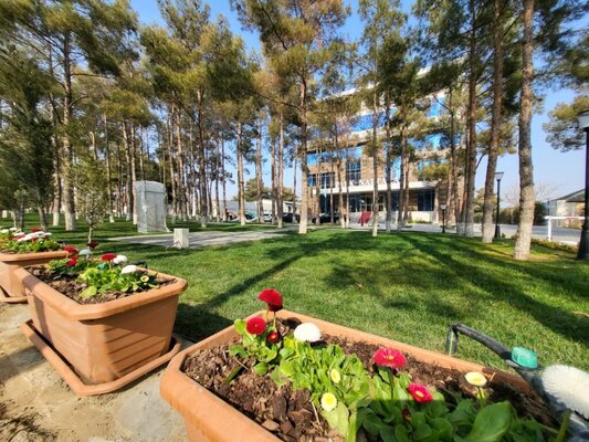 Внешний вид