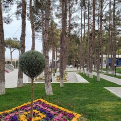 Санаторий Park Naftalan, Нафталан