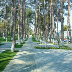 Санаторий Park Naftalan, Нафталан