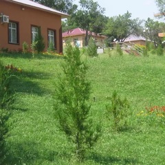 Санаторий Ак-Таш Шабода , Ташкентская область