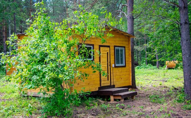 Внешний вид