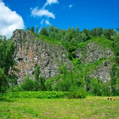 Кемпинг  Таежник, Новосибирская область