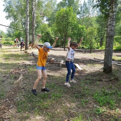 Кемпинг  Таежник, Новосибирская область