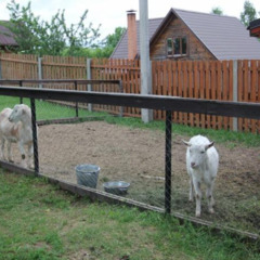 Загородный комплекс Здоровей, Минская область