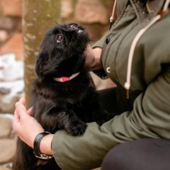Загородный комплекс Здоровей, Минская область