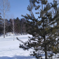 Санаторий-профилакторий Ударник, Саратовская область