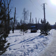 Санаторий-профилакторий Ударник, Саратовская область