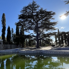 Санаторий АНИИ им. И.М. Сеченова, Крым