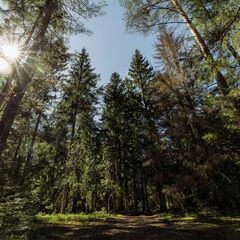 База отдыха Винни-Вилла, Тверская область