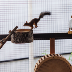 База отдыха Винни-Вилла, Тверская область